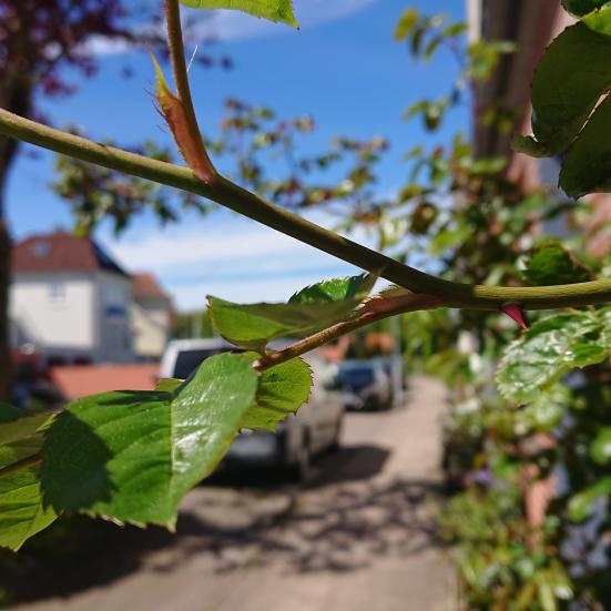 Foto fra turen