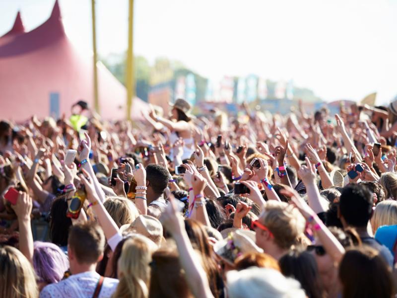 Publikum til festival